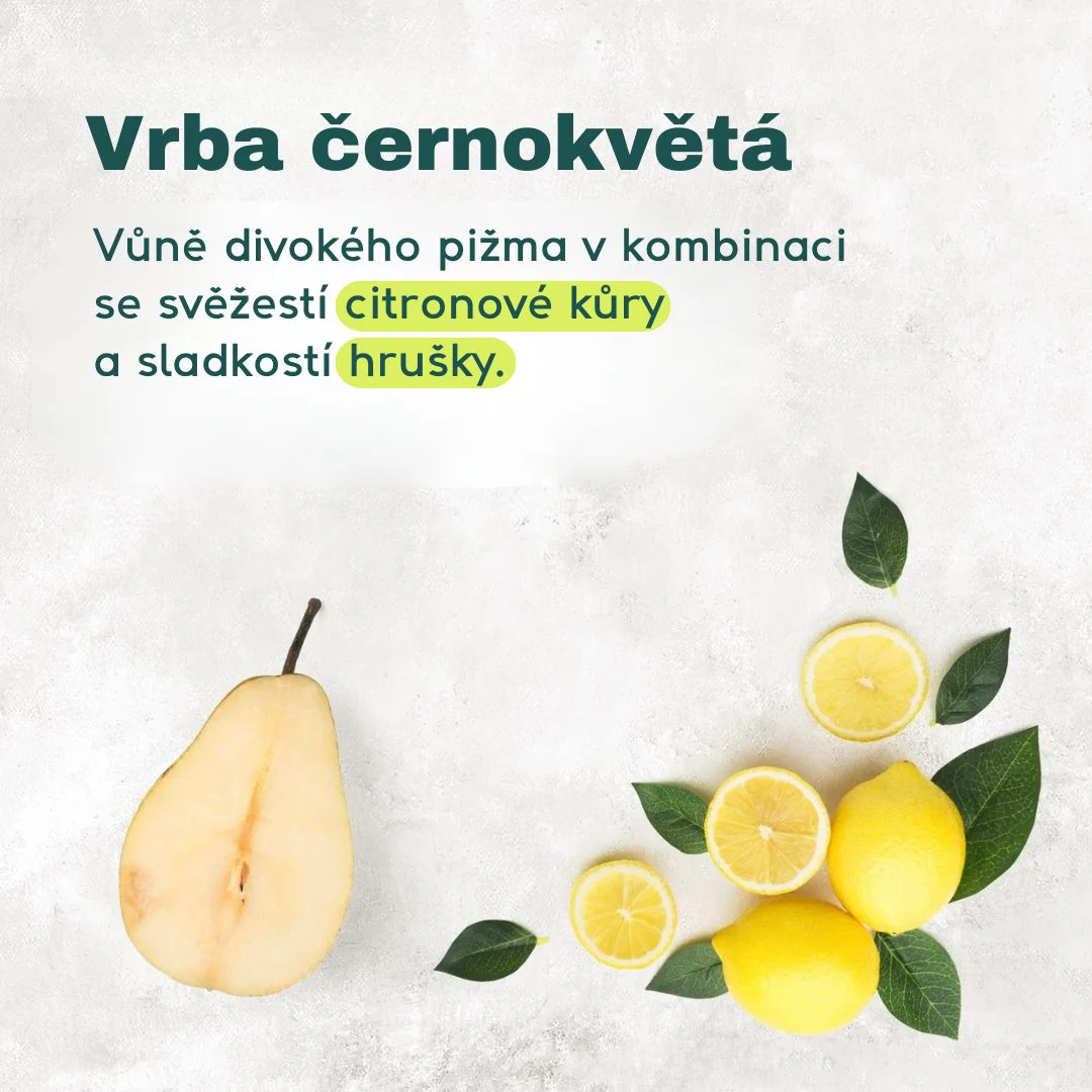 Attitude Pánský sprchový gel a šampon 2v1 Super Leaves - proti lupům (473 ml) - Image 3