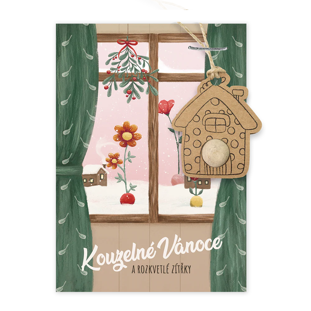 Blossombs Semínková bomba - Vánoční ozdoba - Kouzelné Vánoce (1 ks) - Image 3
