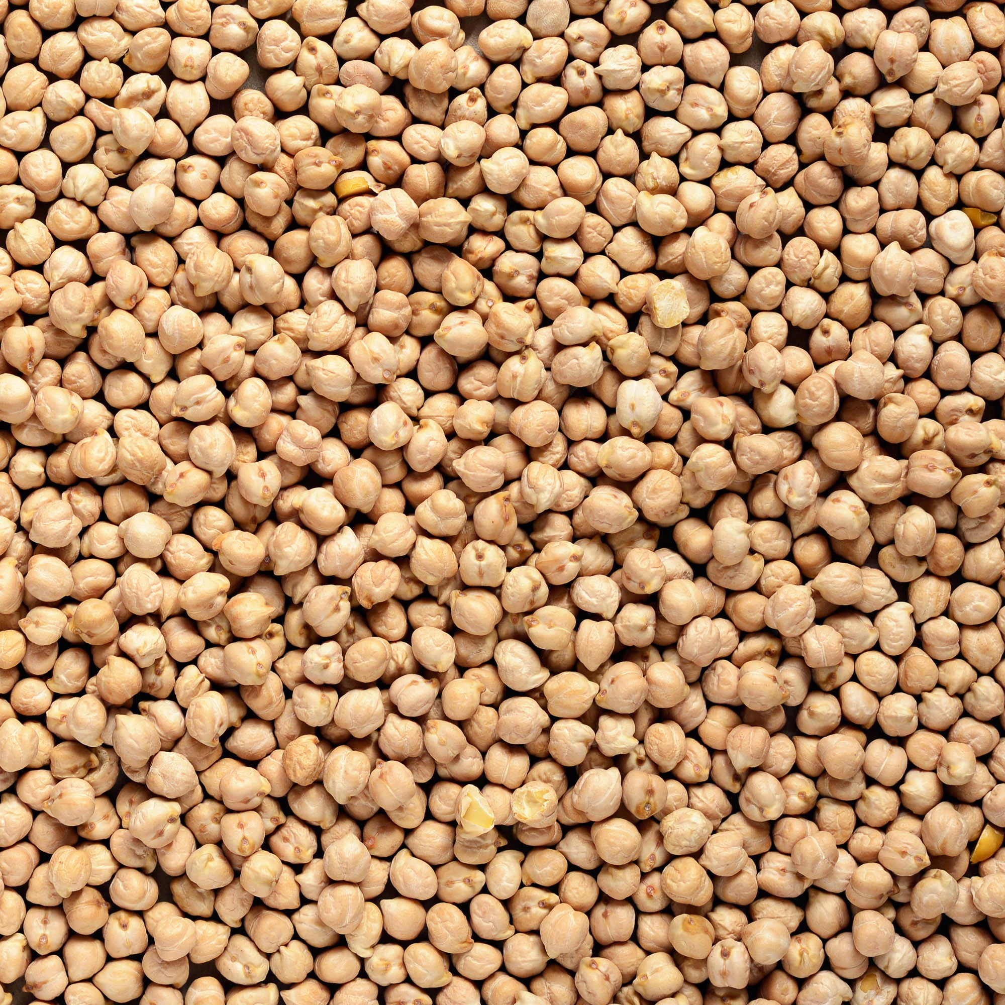 Cizrna 5 kg BIO COUNTRY LIFE - Image 2