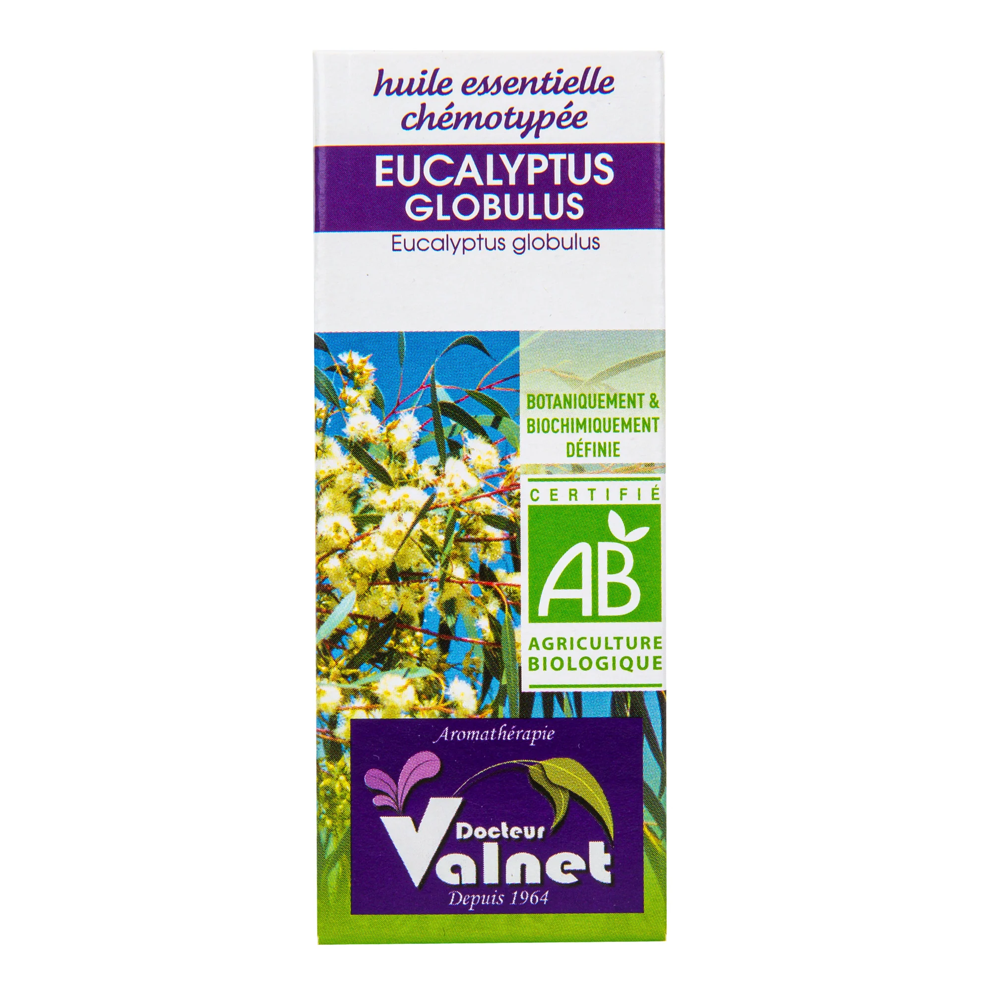Éterický olej eukalyptus globulus 10 ml BIO   DOCTEUR VALNET - Image 2