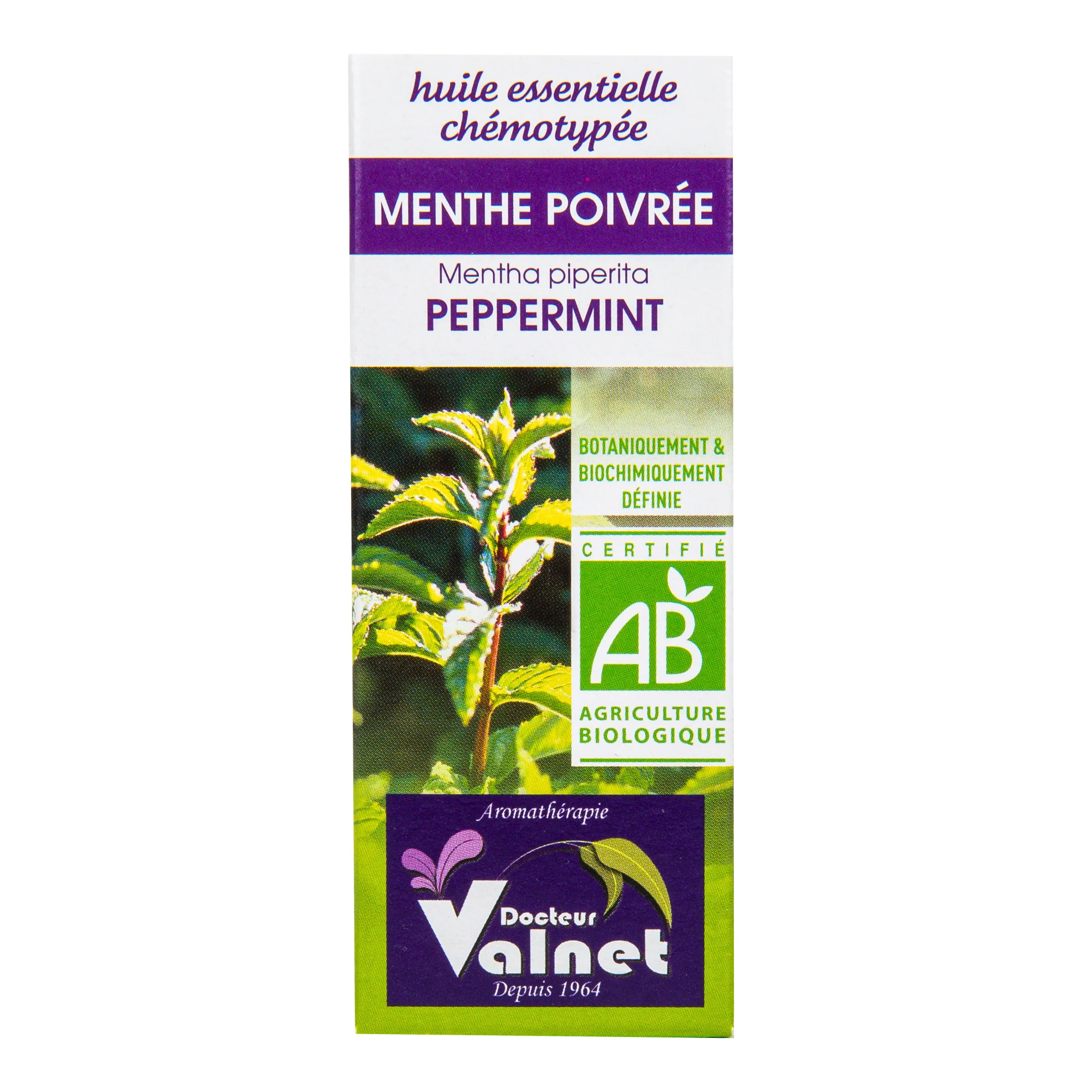 Éterický olej máta peprná 10 ml BIO DOCTEUR VALNET - Image 2