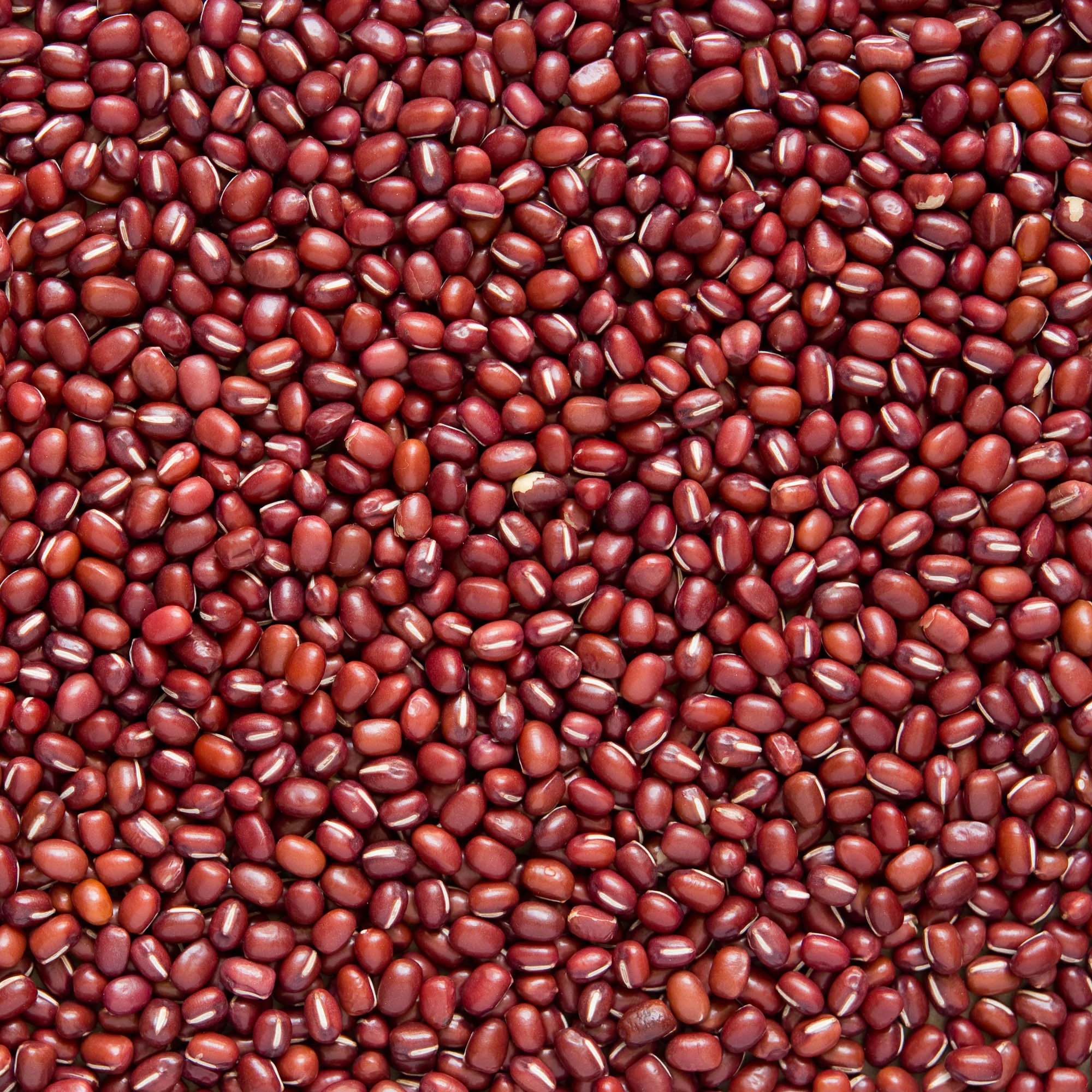 Fazole adzuki 1 kg BIO   COUNTRY LIFE - Image 2