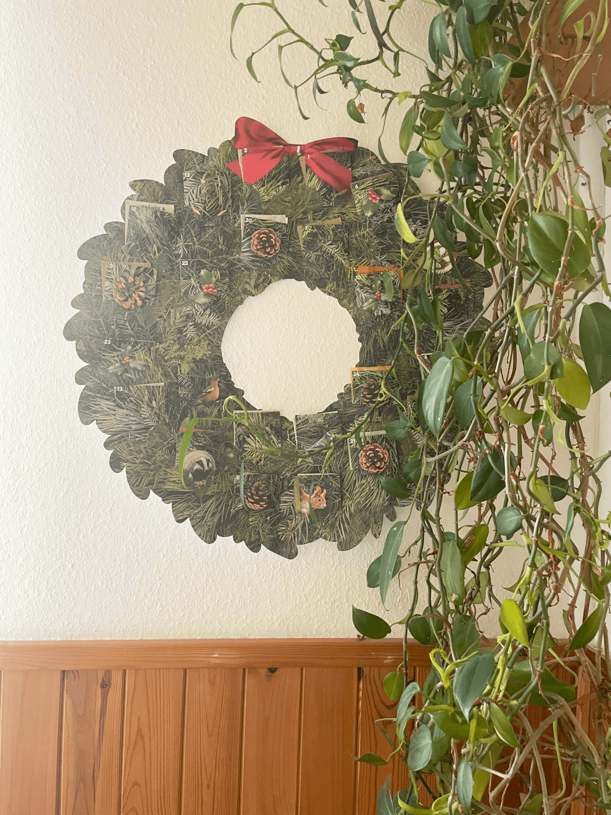 LEROS Bylinný adventní kalendář (24 nálev. sáčků) - Věnec - Image 6