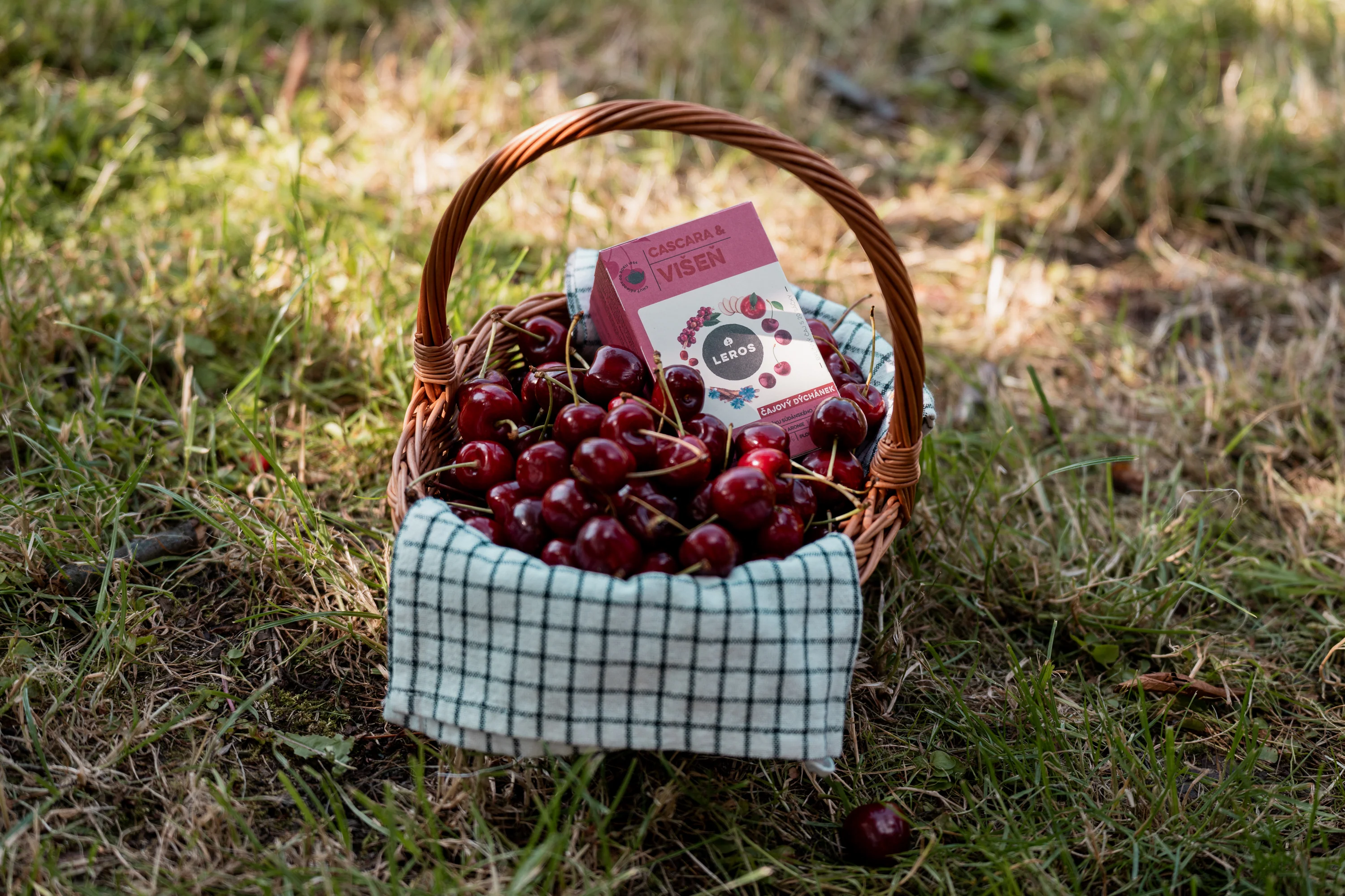 LEROS Čajový dýchánek Višeň & Cascara - nálev. sáčky (20 x 2 g) - Image 3