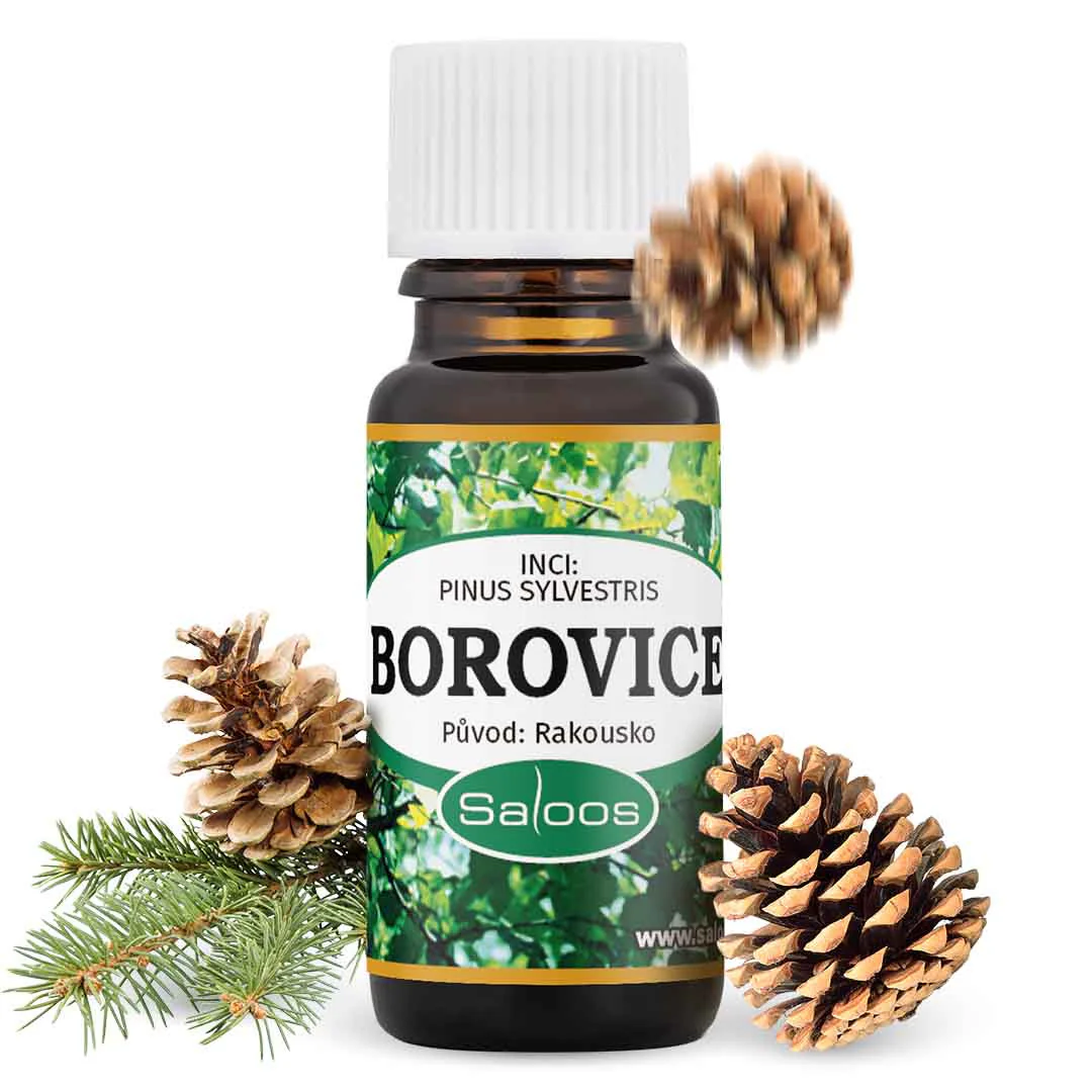 Saloos Esenciální olej Borovice (10 ml) - Image 2