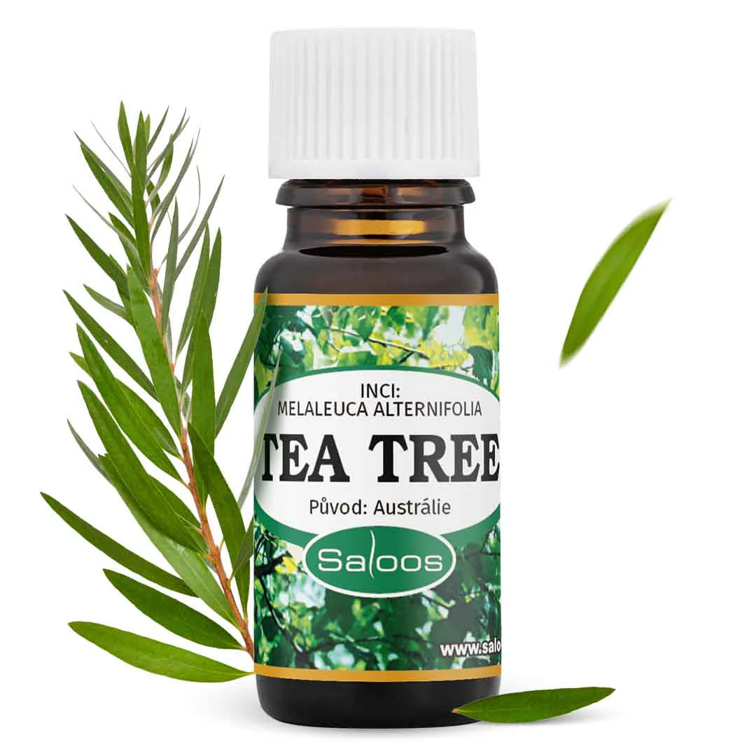 Saloos Esenciální olej Tea Tree (10 ml) - Image 2