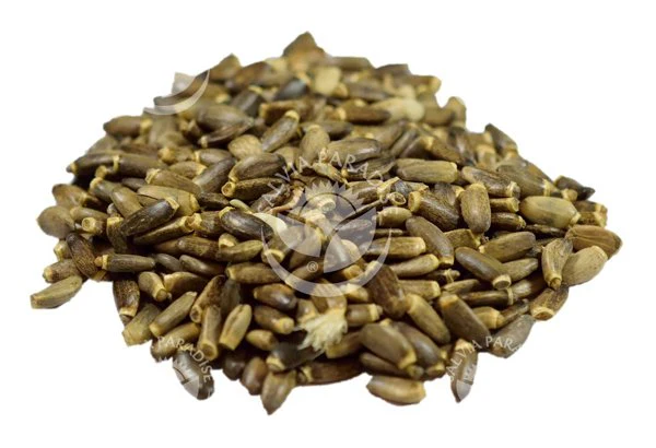 Salvia Paradise Ostropestřec mletý plod (120 g) - Image 3