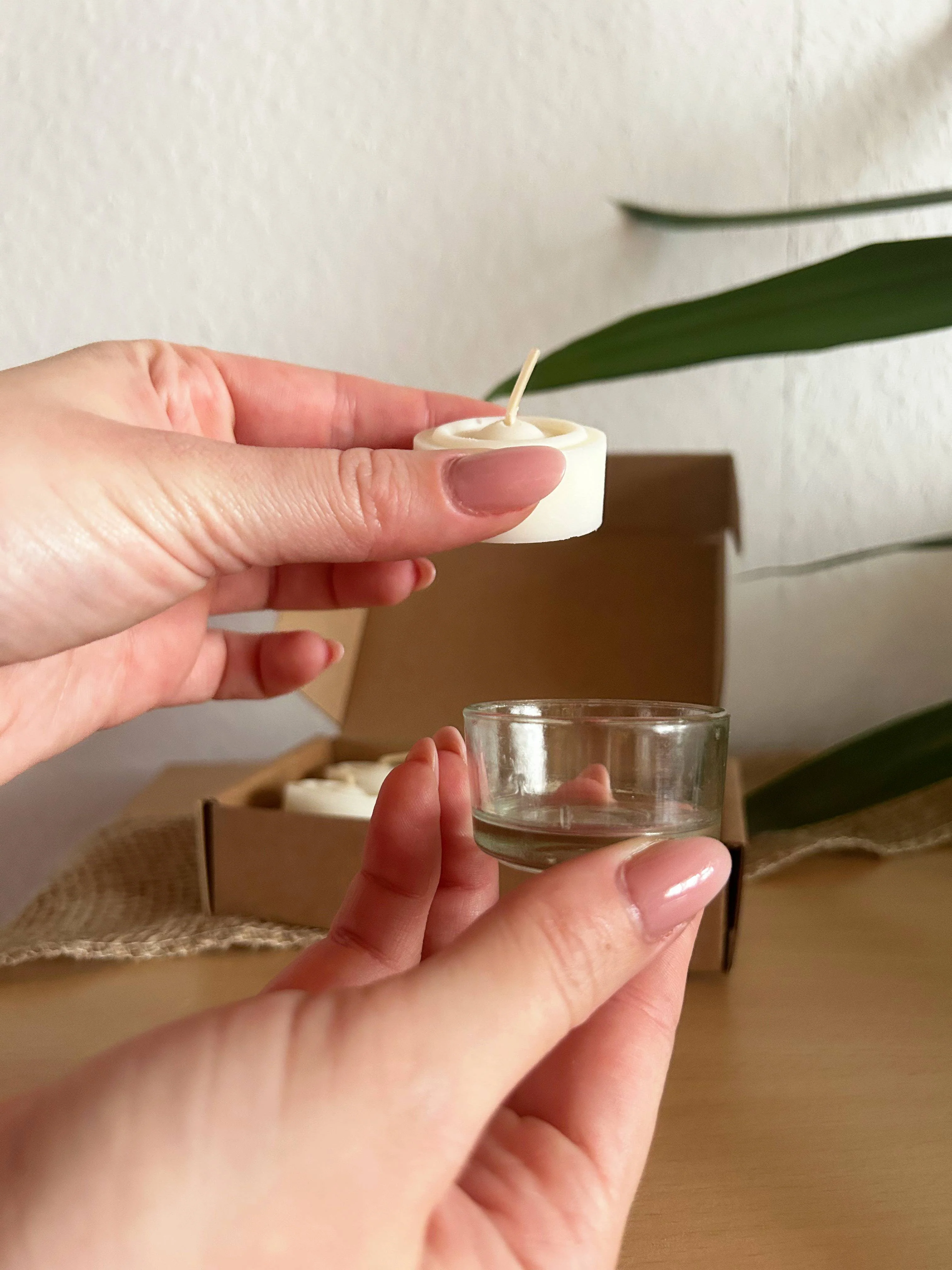 VonTree Candle Sada čajových svíček ze sójového vosku bez vůně - bezobalová (6 ks) - Image 3